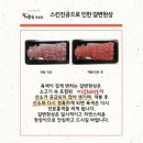 해뜰육