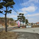 [인천 강화도] 담백하고 시원한 국물이 일품인 &#34;미리네 바지락칼국수&#34; 내돈내산 후기