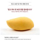 골드망고