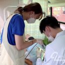 아산8호 이미지