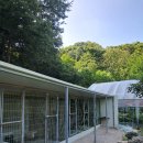 동물보육원 이미지