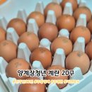 수정농장 | 양계장청년 유정란 | 자연방사 난각번호1번 농장직송 무항생제 계란 후기