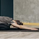 웰니스플라워 이미지