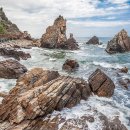 바다그리고길 이미지