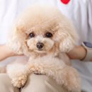 투게더 동물병원 이미지