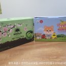 건강 음료 아이들과 같이 먹기 좋고 가성비 좋은 꼬샤꼬샤 양배추즙