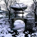 고향 - 서구 | 고향