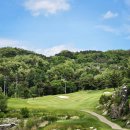 대호모텔 | 충북골프장 킹즈락CC 대호단양CC 2색 1박2일골프패키지 정보 라운딩후기