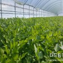 더드림농장 이미지