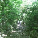 한라산둘레길 동백길 이미지