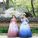 베틀한복광주광역시점 이미지