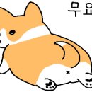 구이구이쪽갈비두정점 이미지
