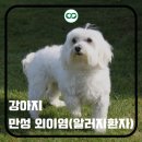 어울동물의료센터 이미지