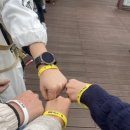 하동코리아짚와이어 이미지