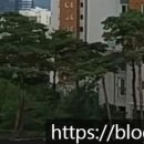 희망만리동