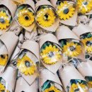 Flower늘봄 이미지