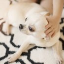 투게더 동물병원 이미지