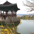 왕인박사유적지 주차장 이미지