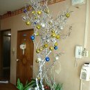 새빛 기독보육원 이미지