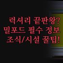 에코사운드 | 밀포드사운드 숙박 럭셔리 로지 비교 | 피오르드랜드 에코스케이프 솔직 후기 | 최고급 조식 마사지...