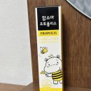 함소아 | 환절기 우리 아이 구강 건강 관리 필수템! '함소아 프로폴리스' 솔직 후기