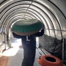 봄내지역아동센터 이미지