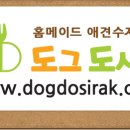 플라워앤캣