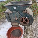 사랑으로 ㅡ 해바라기 이미지