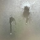 나라헤어토닉 | 가려운 두피에 한 방! 스칼프 부스트 페퍼민트 헤어토닉 후기