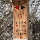 운골민박 Daum카페