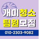 개미인력직업소개소 이미지