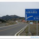 백양목장 Daum카페