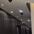 미소치과기공소 | 강남치과, 사과나무치과병원에서 제공하는 임플란트 1:1 전담 치료