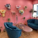 봄꽃에내린단비 이미지