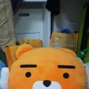 별내뽑기 이미지