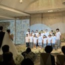 아다모 | 대구/경북 결혼식 아이폰 스냅 아다모(Adamo) 스냅 후기