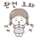 댕냥잇츠 이미지