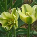 장기우리약국 이미지