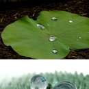 세정세탁 이미지