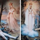 성모농장 이미지