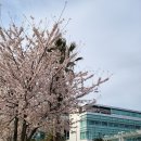 제주대학교병원 이미지