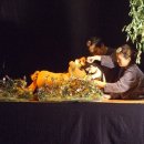 박성호「버드나무를 | 올 연말,온 가족이 함께 즐길 수 있는 아동극! 춘천에 있다? 없다?