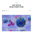 강재선 | 면역력이 왜 중요한 걸까? NK세포와의 관계부터 차바이오텍 기술력까지 정리해봤어요