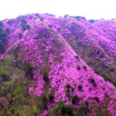 명상주차장(대금산 아래) 이미지