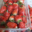 김태동 농장 이미지