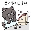 꿈의정원 펜션 이미지