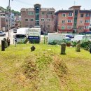 안산김씨 사재감정공파 묘역 이미지