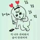 바다야놀자 이미지