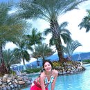 (주)아이비에스넷 이미지