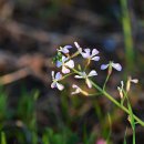 내리저수지 이미지